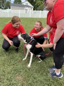 Three people in red shirts petting a dog