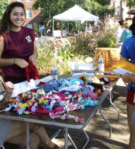 Students helping make dog toys for a local SPCA