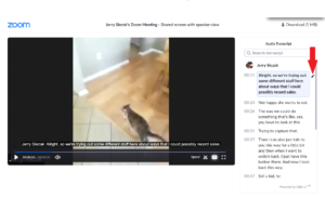 screenshot of the Zoom cloud player showing a video of a cat, with the transcript edit button highlighted