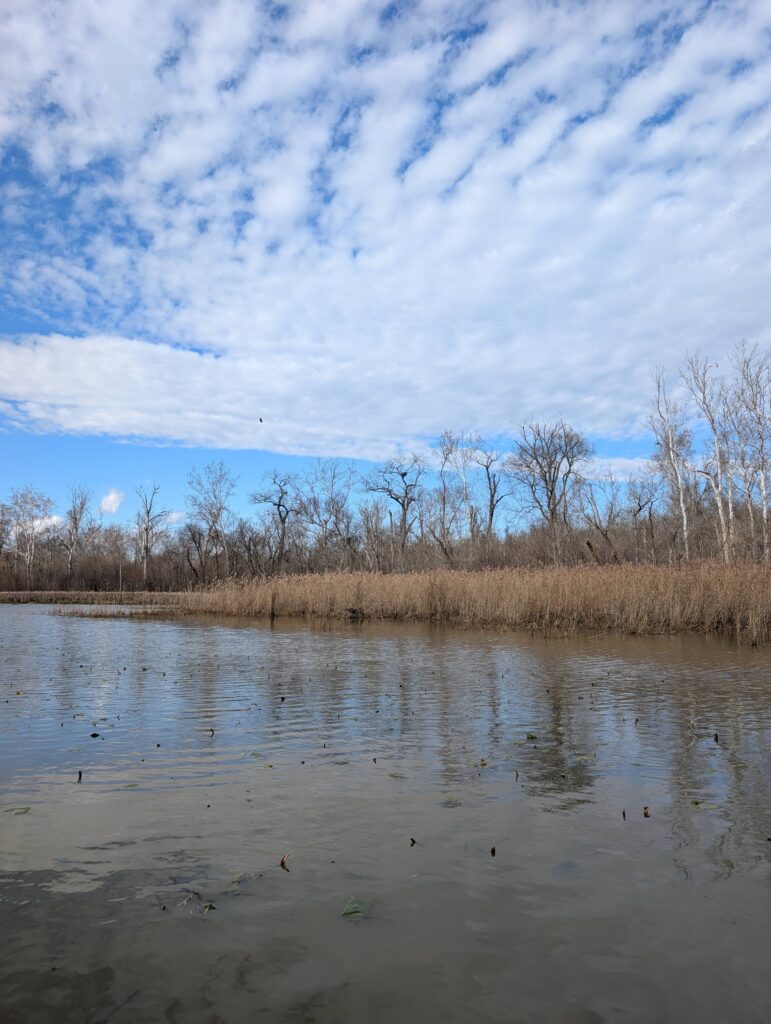 Rappahannock River in winter